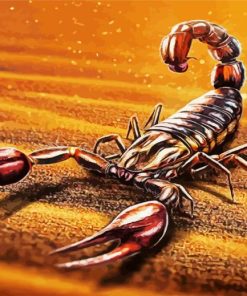 Scorpion Sahara Paint By Numbers