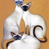 Siamese Kittens Paint By Numbers