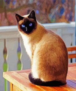 Siamese Kitty Paint By Numbers