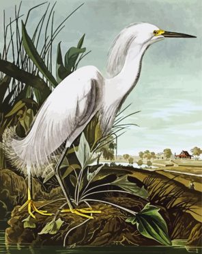 White Egret Paint By Numbers