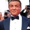 Sylvester Stallone Paint By Numbers