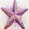 Starfish Paint By Numbers