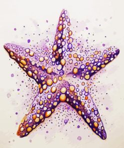 Starfish Paint By Numbers