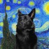 Kelpie With Stars Paint By Numbers
