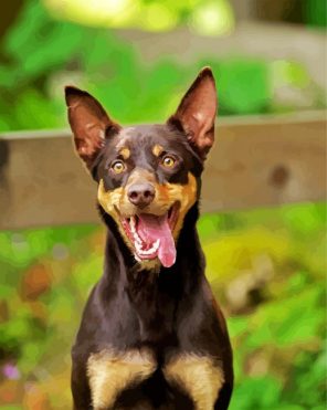 Kelpie Puppy Paint By Numbers