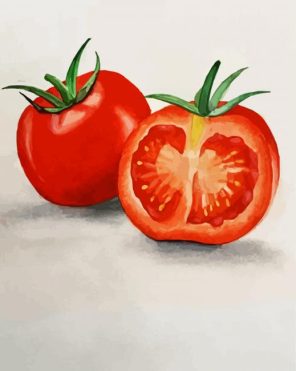 Fresh Tomato Paint By Numbers
