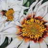 Aesthetic White Gazania Paint By Numbers