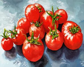 Aesthetic Tomatoes Paint By Numbers