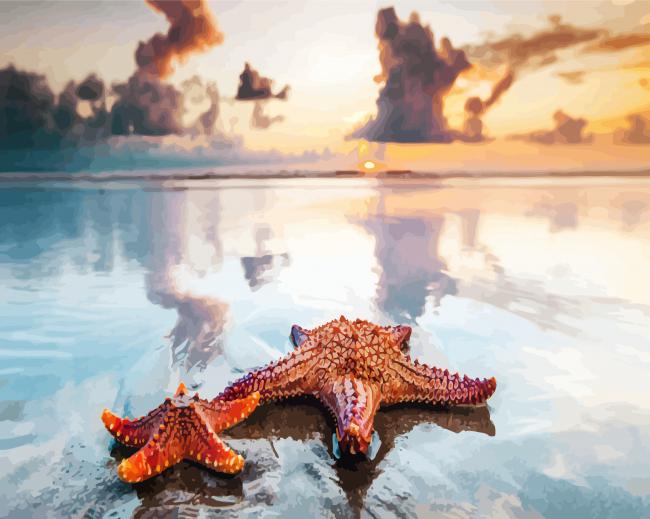 Aesthetic Sea Stars Paint By Numbers
