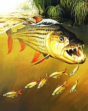Tiger Fish Paint By Numbers