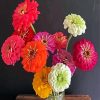 Colorful Zinnias Paint By Numbers
