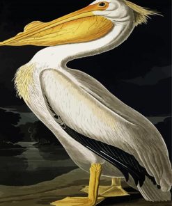 White Pelican Paint By Numbers