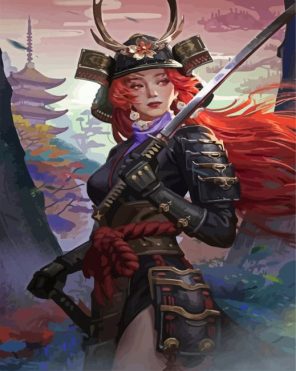 Samurai Girl Paint By Numbers