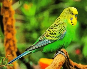 Green Bird Paint By Numbers