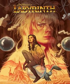Labyrinith Movie Paint By Numbers