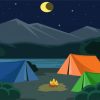 Night Camping Paint By Numbers