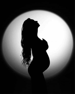 Pregnant Lady Silhouette Paint By Numbers
