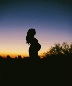 Pregnant Silhouette Paint By Numbers