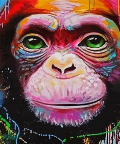 Colord Monkey Paint By Numbers