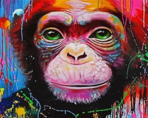 Colord Monkey Paint By Numbers
