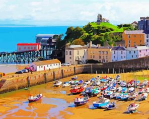 Tenby Whales Paint By Numbers