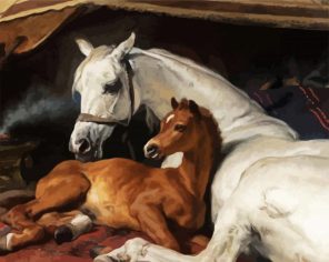 Arab Horses Paint By Numbers
