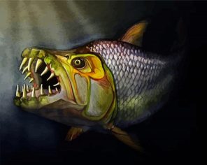 Tigerfish Paint By Numbers