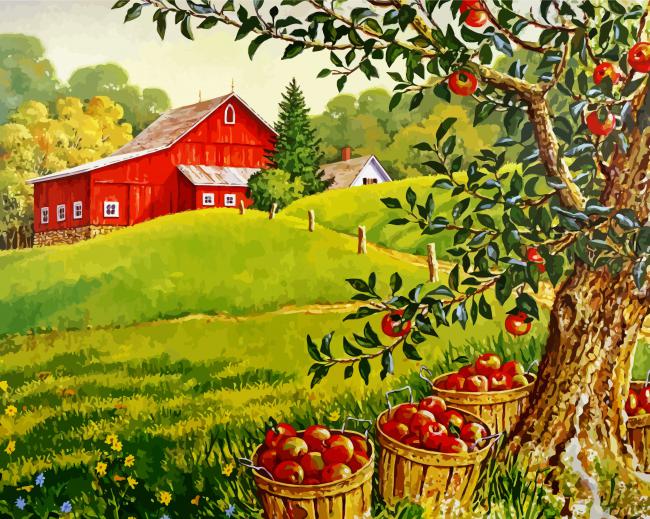 Apples Garden Paint By Numbers