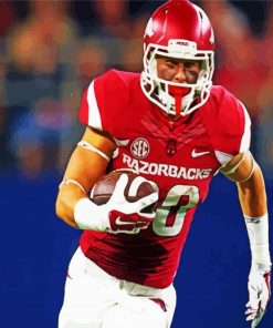 Arkansas Football Player Paint By Numbers