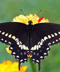 Aesthetic Swallowtail Paint By Numbers