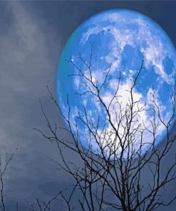Blue Big Moon Paint By Numbers