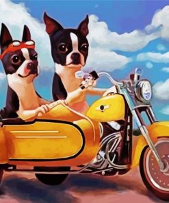 Boston Terriers Paint By Numbers