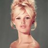 Young Brigitte Bardot Paint By Numbers