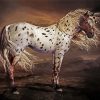 Brown Appaloosa Paint By Numbers
