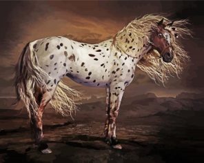 Brown Appaloosa Paint By Numbers