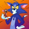 Tom And Jerry Cartoon Paint By Numbers