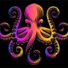 Colorful Squid Paint By Numbers