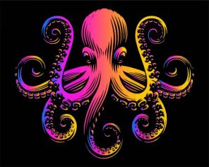 Colorful Squid Paint By Numbers