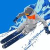 Downhill Skier Paint By Numbers