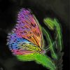 Artistic Butterfly Paint By Numbers