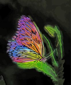 Artistic Butterfly Paint By Numbers