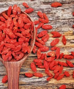 Red Goji Berries Paint By Numbers