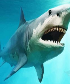 Megalodon Underwater Paint By Numbers