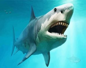 Megalodon Underwater Paint By Numbers