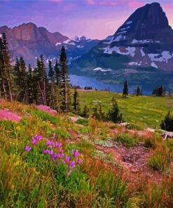 Montana Nature Paint By Numbers