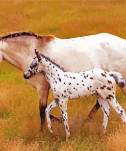 Appaloosa Mother Paint By Numbers
