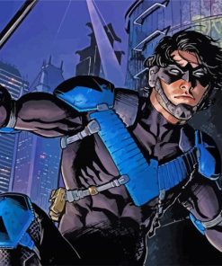 Nightwing Heroes Paint By Numbers