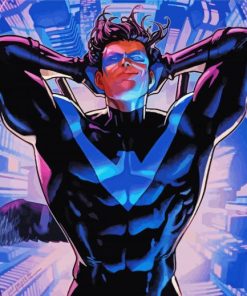 Nightwing Hero Paint By Numbers