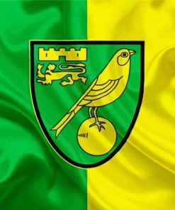 Norwich Football Logo Paint By Numbers