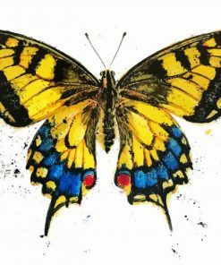 Golden Butterfly Paint By Numbers